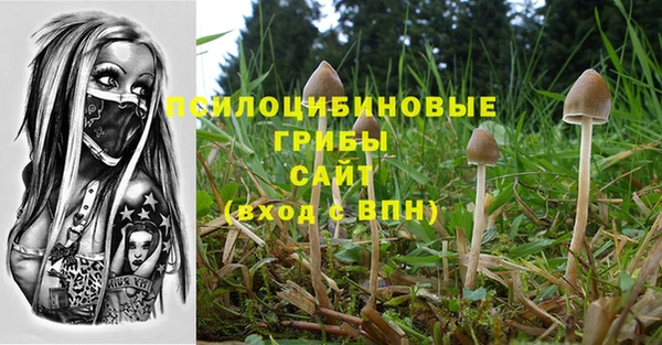 спиды Бугульма