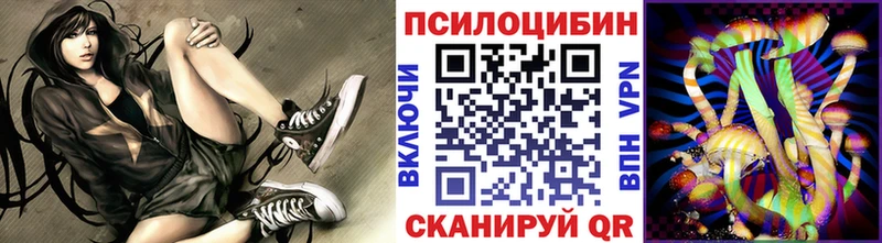 купить закладку  Отрадное  Псилоцибиновые грибы Cubensis 